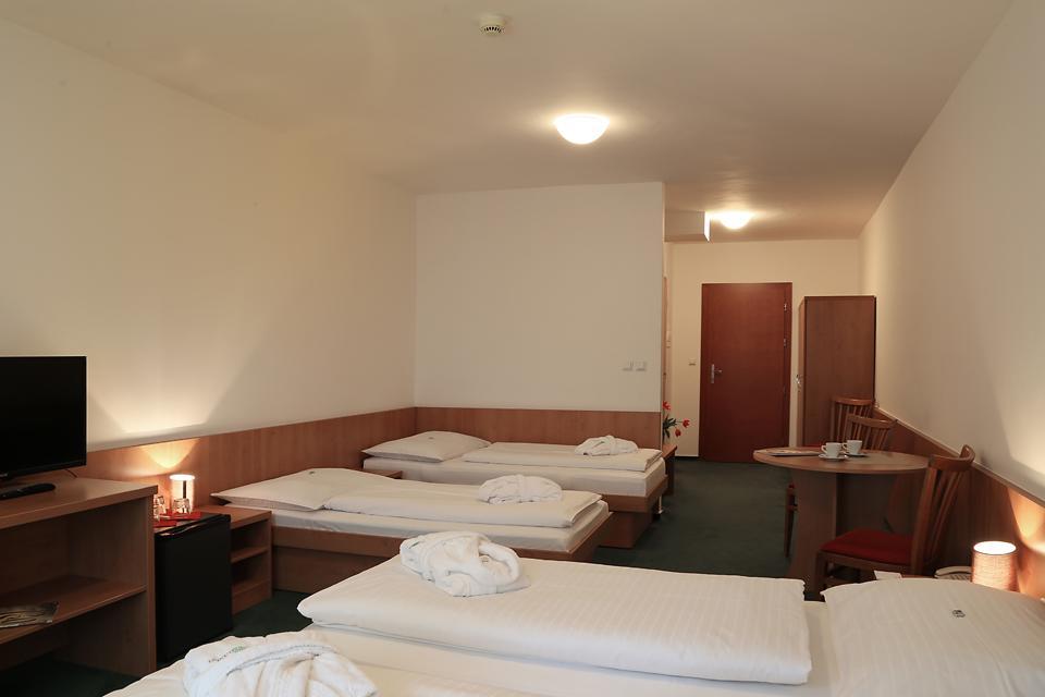 Hotel Popelka Prag Oda fotoğraf